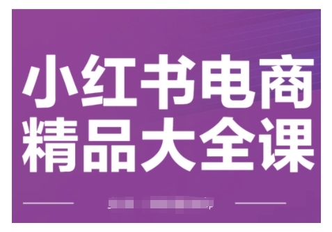 小红书电商精品大全课，快速掌握小红书运营技巧，实现精准引流与爆单目标，轻松玩转小红书电商插图