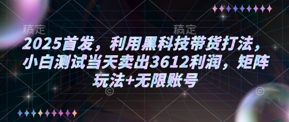 2025首发，利用黑科技带货打法，小白测试当天卖出3612利润，矩阵玩法+无限账号插图