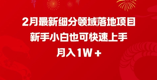 2月最新细分领域落地项目，新手小白也可快速上手，月入1W插图