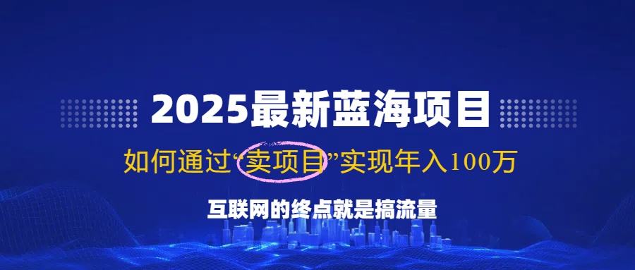 （14305期）2025最新蓝海项目，零门槛轻松复制，月入10万+，新手也能操作！插图