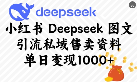 小红书Deepseek图文引流私域售卖资料，单日变现多张插图