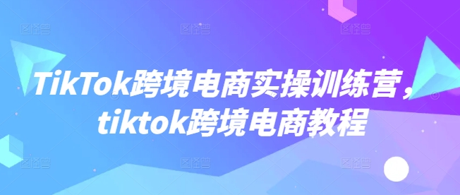 TikTok跨境电商实操训练营，tiktok跨境电商教程插图