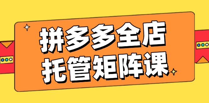 （14328期）拼多多全店托管矩阵课，盈利动销玩法，高效计划设置，提升店铺效益插图