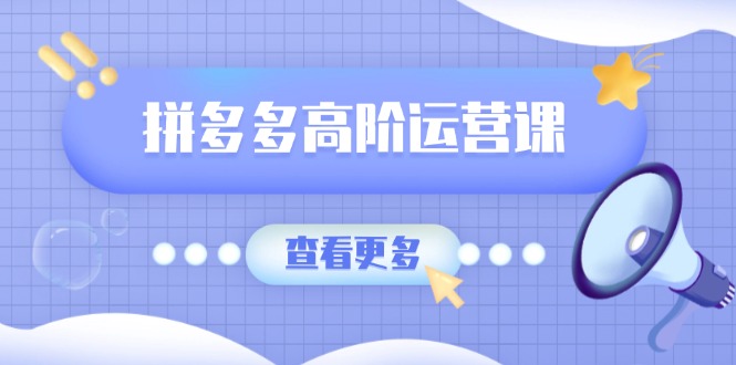 （14327期）拼多多高阶运营课：极致群爆款玩法，轻付费无尽复制，打造单品爆款之路插图