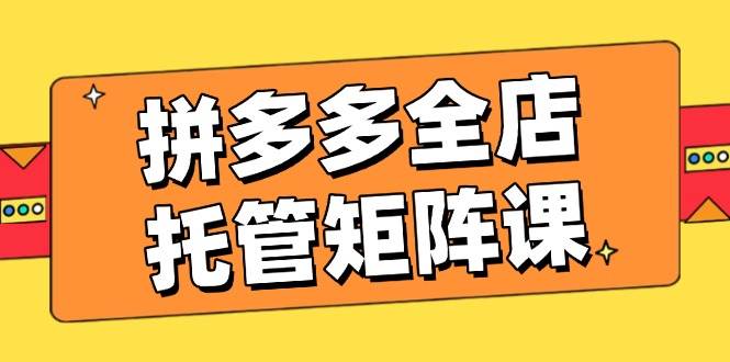 拼多多全店托管矩阵课，盈利动销玩法，高效计划设置，提升店铺效益插图