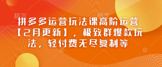 拼多多运营玩法课高阶运营【2月更新】，极致群爆款玩法，轻付费无尽复制等插图
