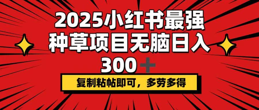 （14375期）2025小红书最强种草项目，无脑日入300+，复制粘帖即可，多劳多得插图