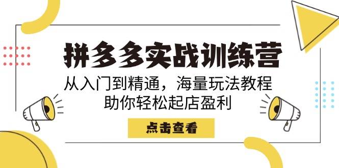 拼多多实战训练营，从入门到精通，海量玩法教程，助你轻松起店盈利插图