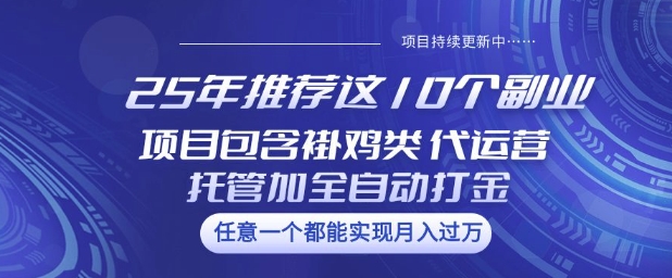 25年推荐这10个副业项目包含褂鸡类、代运营托管类、全自动打金类插图