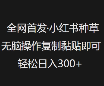 全网首发，小红书种草无脑操作，复制黏贴即可，轻松日入3张插图