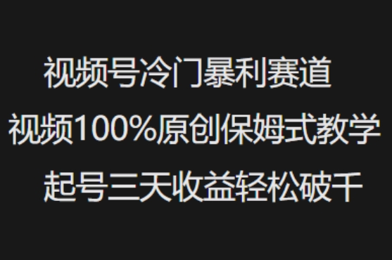 视频号冷门暴利赛道视频100%原创保姆式教学起号三天收益轻松破千插图