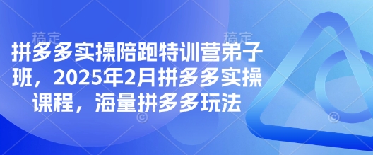 拼多多实操陪跑特训营弟子班，2025年2月拼多多实操课程，海量拼多多玩法插图