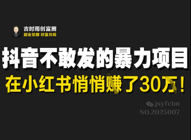 抖音不敢发的暴利项目，在小红书悄悄挣了30W插图