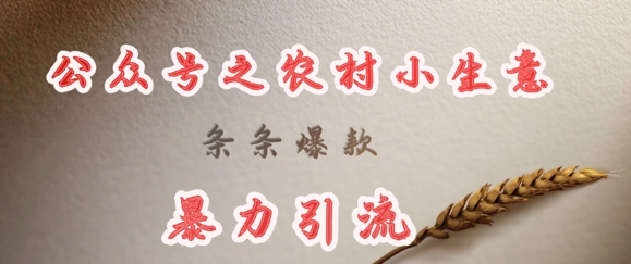 deepseek写农村小项目，条条爆款，暴力引流插图