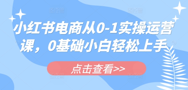 小红书电商从0-1实操运营课，0基础小白轻松上手插图