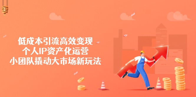（14555期）低成本引流高效变现，个人IP资产化运营，小团队撬动大市场新玩法插图