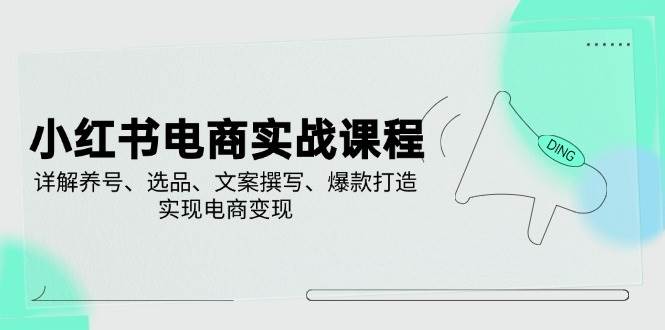 小红书电商实战课程，详解养号、选品、文案撰写、爆款打造，实现电商变现插图