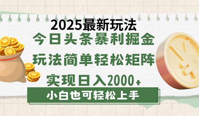 （14120期）今日头条2025最新玩法，思路简单，复制粘贴，轻松实现矩阵日入2000+插图
