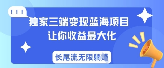 独家三端变现蓝海项目，让你收益最大化，长尾流无限躺挣插图