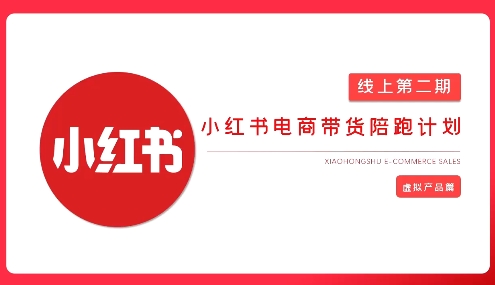 2025小红书虚拟电商实战课，从0到1打造无货源店铺，AI+爆款笔记轻松变现插图
