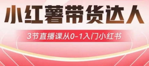 小红薯达人带货启航计划，3节直播课从0-1入门小红书插图