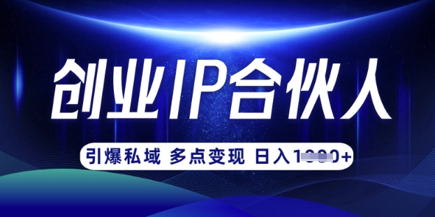 云帆·创业ip合伙人打造3.0，从0到1教你做网创，实现月入过W插图