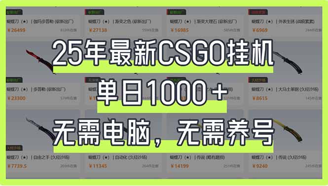（14178期）25年最新CSGO挂机系统，单日1000+，无需电脑，无需养号，0基础可上手插图