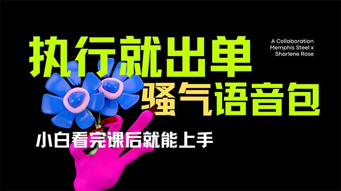 （14170期）爆火全网的开车导航骚气语音包,只要执行就出单，小白看完课程就能实操…插图