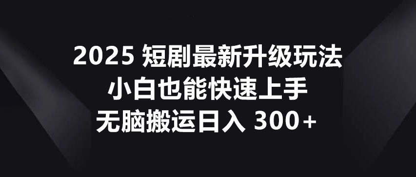 2025短剧最新升级玩法，小白也能快速上手，无脑搬运日入300+插图