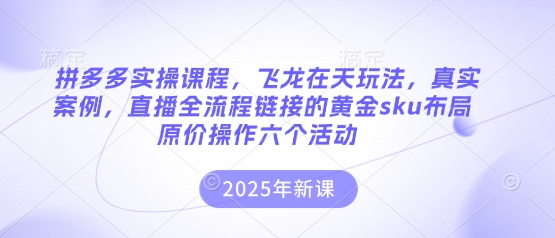 拼多多实操课程，飞龙在天玩法，真实案例，直播全流程链接的黄金sku布局原价操作六个活动插图