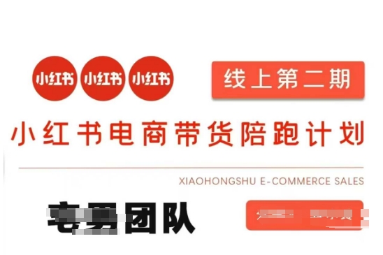小红书电商带货课2期，月利润20个的小红书电商的有货源，无货源，虚拟产品，付费投流等整套玩法插图