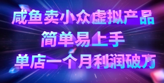 咸鱼卖小众虚拟产品，简单易上手，单店一个月利润破W插图
