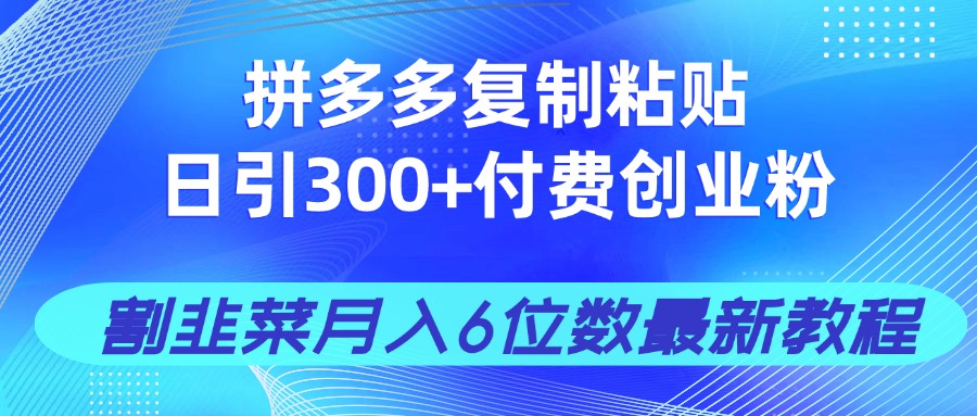 （14232期）拼多多复制粘贴日引300+付费创业粉，割韭菜月入6位数最新教程！插图
