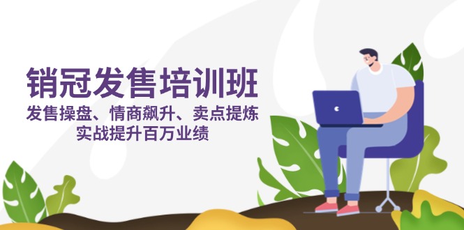 （14203期）销冠 发售培训班：发售 操盘+情商 飙升+卖点 提炼，实战提升百万业绩插图