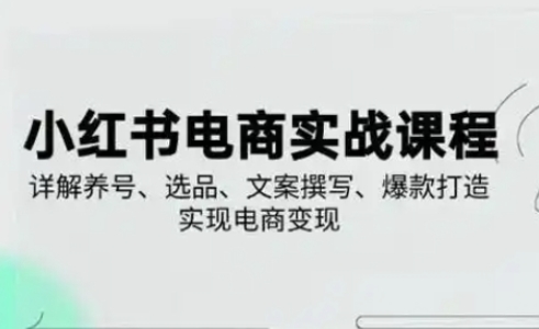 小红书从0-1实操课(2023-2025)，详解养号、选品、文案撰写、爆款打造实现电商变现插图