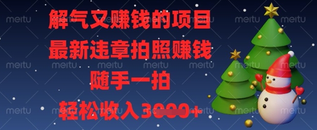 解气又挣钱的项目，最新违章拍照挣钱，随手一拍，轻松收入数张插图