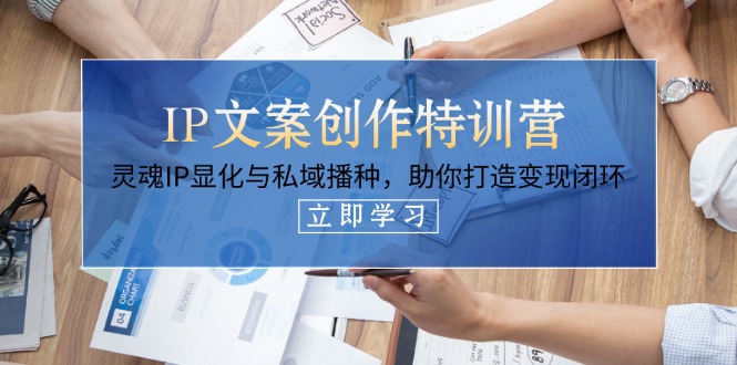 （14330期）IP文案创作特训营，灵魂IP显化与私域播种，助你打造变现闭环（14节课）插图