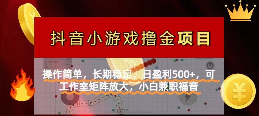 （14290期）【抖音小游戏发行人计划项目】操作简单，长期稳定，日盈利500+，可工作…插图
