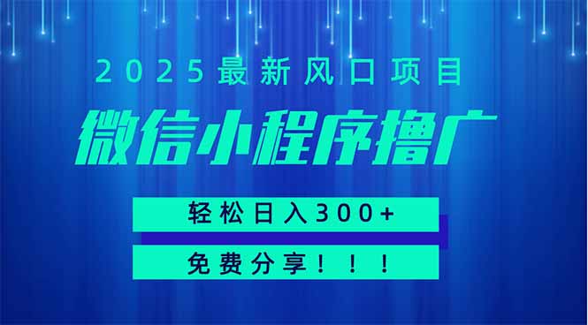 （14375期）微信小程序撸广，最新风口项目，日入300+ 免费分享 可批量操作 小白可…插图