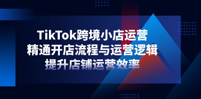 （14369期）TikTok跨境小店运营，精通开店流程与运营逻辑，提升店铺运营效率插图