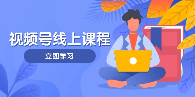 （14360期）视频号实战课程，轻IP打造与运营技巧，掌握核心方法与策略插图