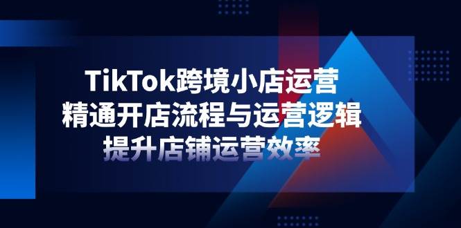 TikTok跨境小店运营，精通开店流程与运营逻辑，提升店铺运营效率插图