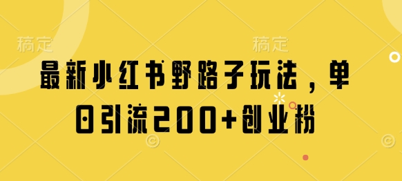 最新小红书野路子玩法，单日引流200+创业粉插图