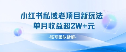 小红书私域项目新玩法，单月变现过W+插图