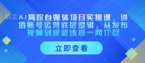 AI高阶自媒体项目实操课，讲透账号运营底层逻辑，从发布视频到规避违规一网打尽插图
