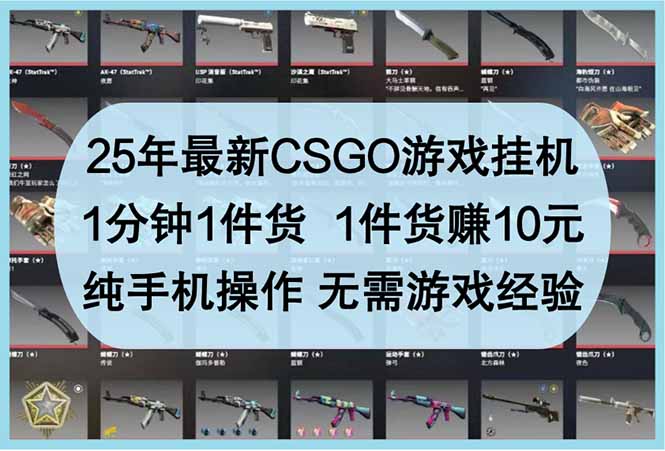 （14439期）25年最新CSGO游戏挂机，1分钟1件货，1件货赚10元 纯手机操作 无需游戏经验插图