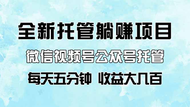 （14425期）全新托管躺赚项目，微信视频号公众号托管代运营，每天五分钟，收益大几百插图