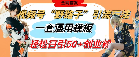 视频号“野路子”玩法，评论区疯狂截流，一套模板单日单号引流50+创业粉插图