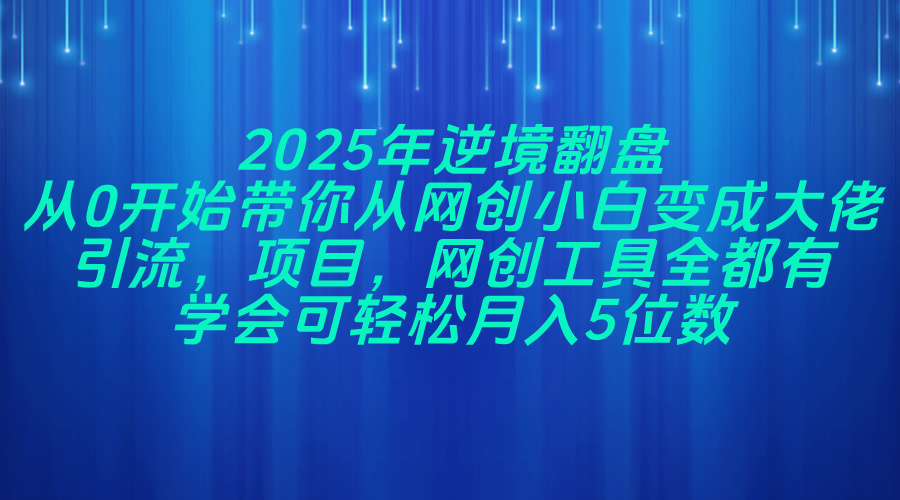 （14473期）2025年逆境翻盘，从0开始带你从网创小白变成大佬，引流，项目，网创工…插图