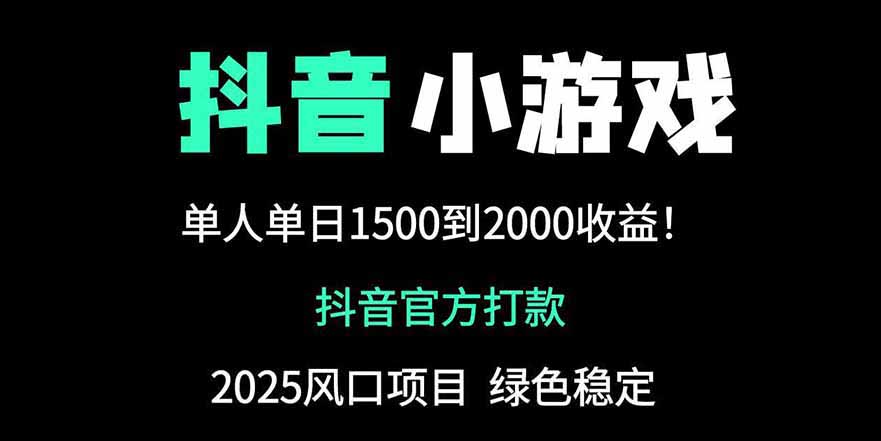 （14527期）抖音官方小游戏2025全网最新玩法，暴利赚钱项目，单机日入2000+插图